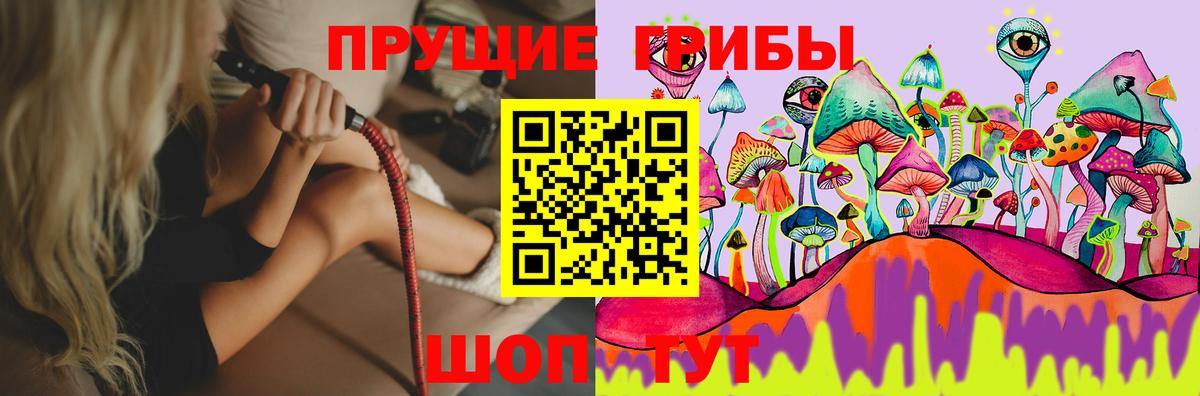 Галлюциногенные грибы Magic Shrooms Знаменск