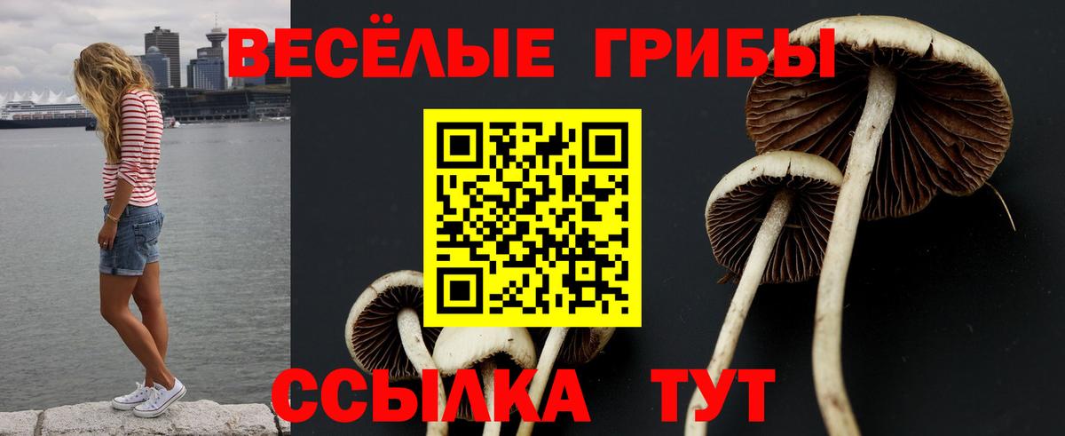 Вейп ТГК  Конопля  Знаменск  НБОМе  КЕТАМИН  Меф МЯУ МЯУ кристаллы  Кокаин  КОКАИН  МДМА  Вход с VPN 