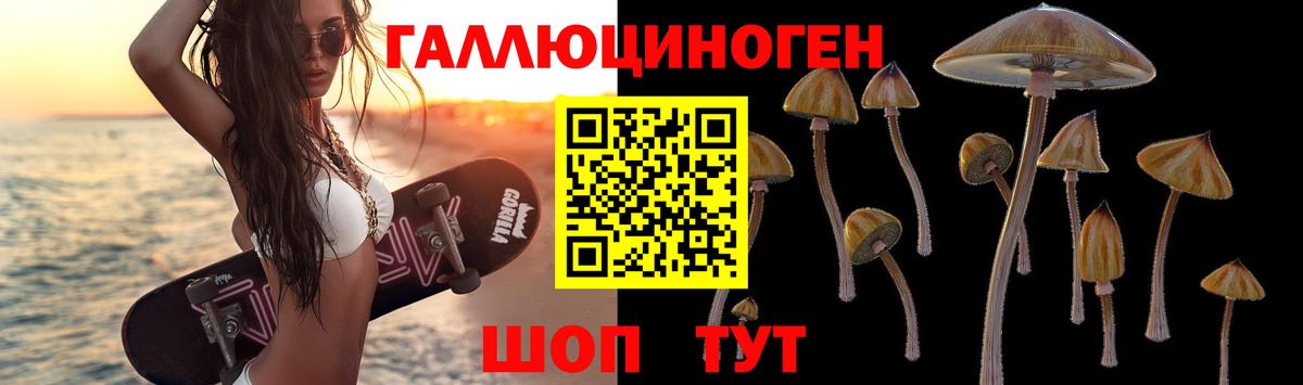 Знаменск  Псилоцибиновые грибы прущие грибы  закладка  Вход с VPN  Галлюциногенные грибы Psilocybine cubensis 